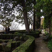 DSC00525