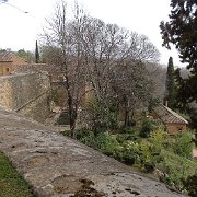 DSC00527