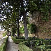 DSC00528