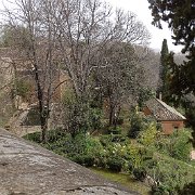 DSC00529