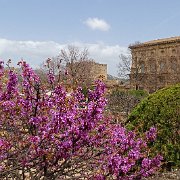 DSC00534