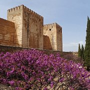 DSC00535