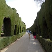 DSC00537