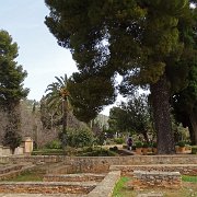 DSC00541