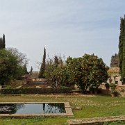 DSC00542