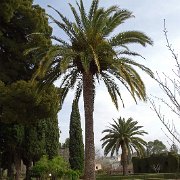 DSC00543