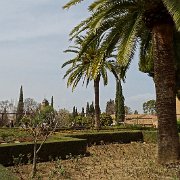 DSC00547