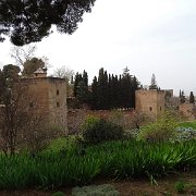 DSC00549