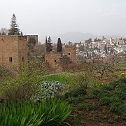 DSC00550