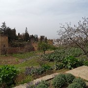 DSC00552