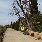 DSC00553
