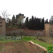 DSC00554