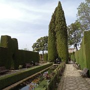 DSC00555