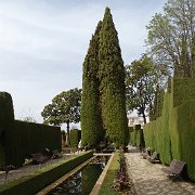 DSC00556