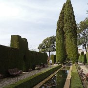DSC00557