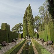 DSC00559