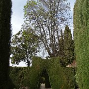 DSC00560