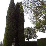 DSC00561