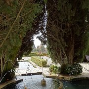 DSC00563