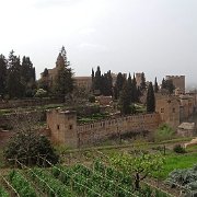 DSC00564