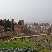 DSC00565