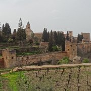 DSC00568