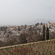 DSC00569