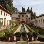 DSC00602