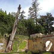 DSC00607