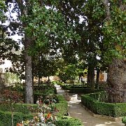 DSC00616