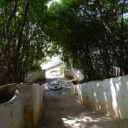 DSC00619