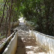 DSC00620