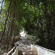 DSC00621