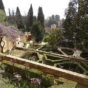 DSC00622