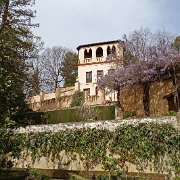 DSC00625
