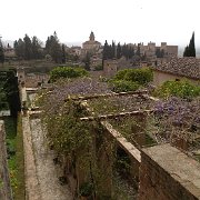 DSC00629