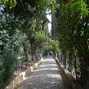 DSC00630