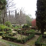 DSC00632