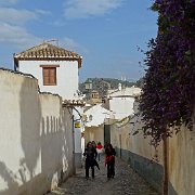 DSC00642