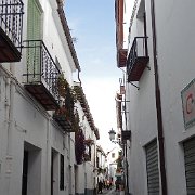 DSC00648