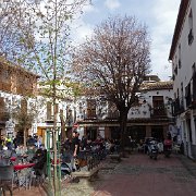 DSC00650