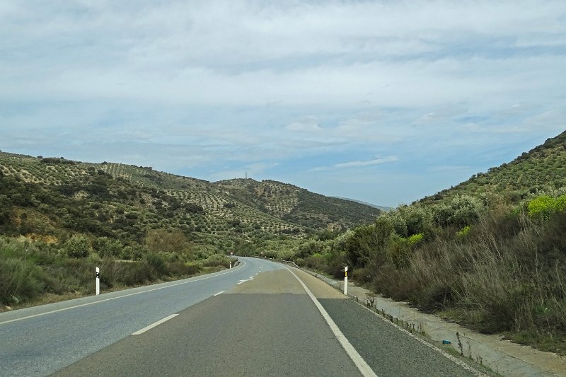 DSC00805