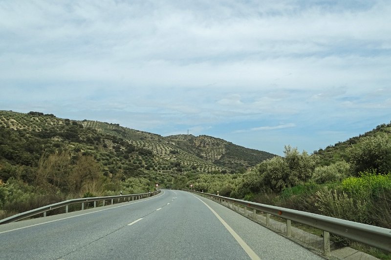 DSC00806
