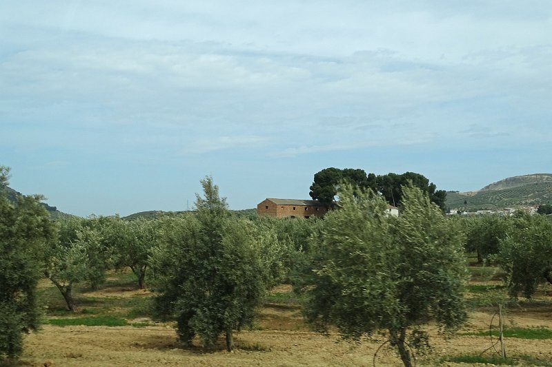 DSC00809