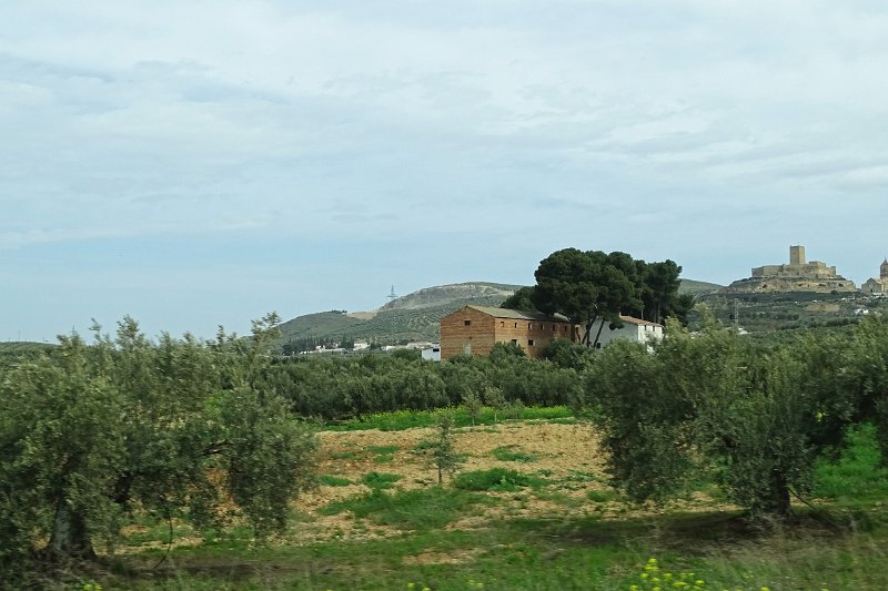 DSC00810