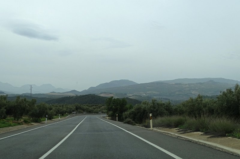 DSC00829