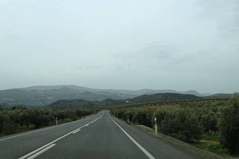 DSC00830