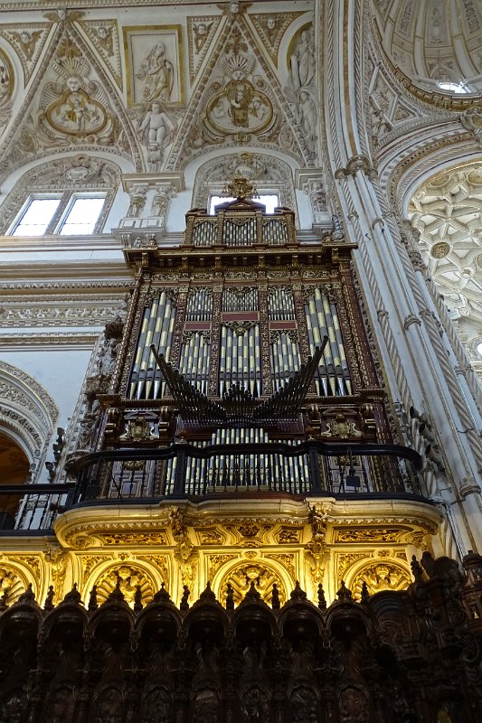 DSC00900