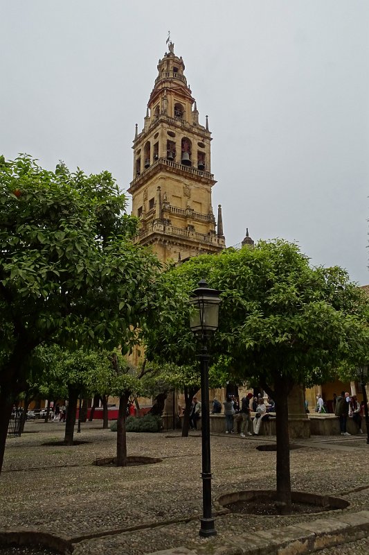 DSC00945