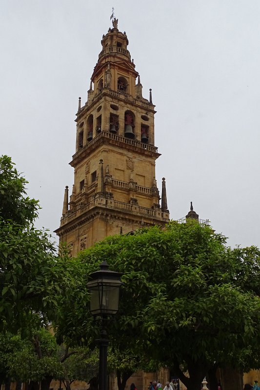 DSC00951